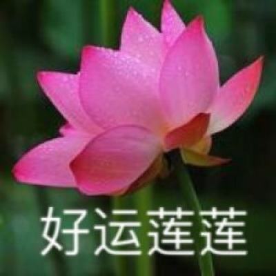 “雪中梅竹”腊八节主题数字作品限量发行